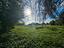 Immagine 12