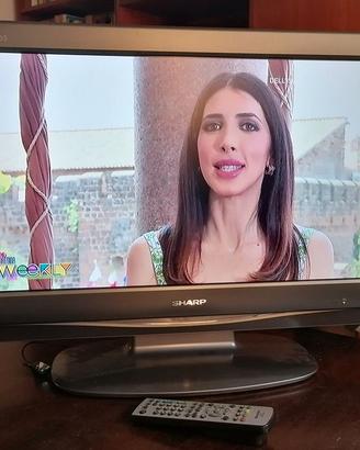 TV LCD 26" SHARP AQUOS LC-26D44E-GY