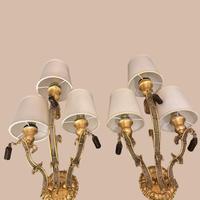 APPLIQUE CLASSICO BAGA
