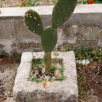 Vasca in pietra antica