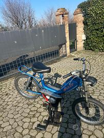 Motorino jolly minarelli