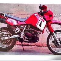 Kawasaki KLR 650 ASI