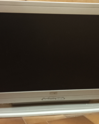 TV monitor pc