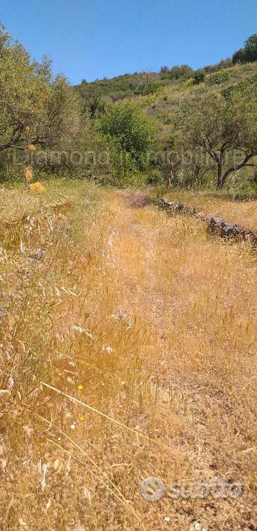Terreno agricolo a Linguaglossa - Vista 3