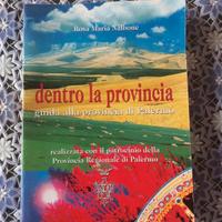 Libro Guida alla provincia di Palermo