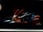 Immagine 16