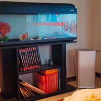 Acquario "mtb acquari" 100