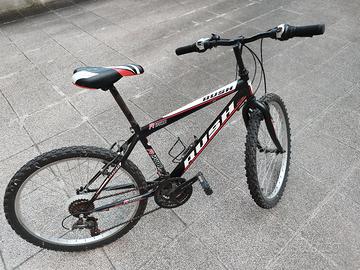 Mountain bike