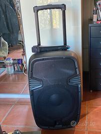 Cassa amplificata portatile