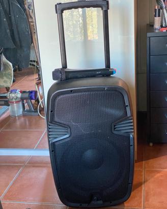 Cassa amplificata portatile