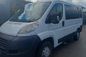 fiat ducato 9 posti