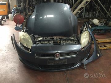 Musata bravo 2