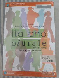 libro Italiano Plurale grammatica
