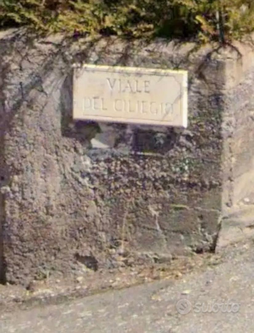 Terreno Milia bosco BIANCAVILLA - Altro