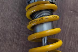 Holins Mono Ammortizzatore R1