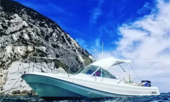 Boston Whaler 21 Revenge