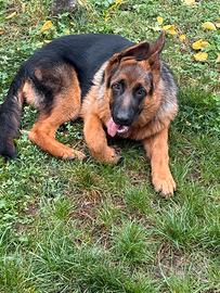 Oggetti di antiquariato