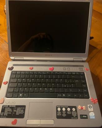Computer Sony