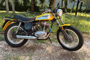 Ducati scrambler 250 1973