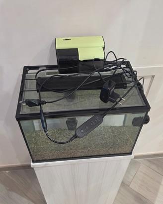 Acquario