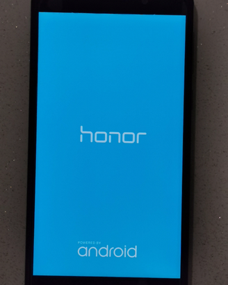 Honor 6X