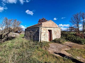 Terreno di 13100 m² a Noci