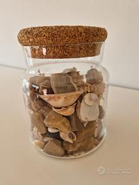 Vaso con ricordi di mare