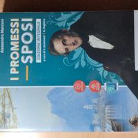 Libro sui promessi sposi per la scuola 