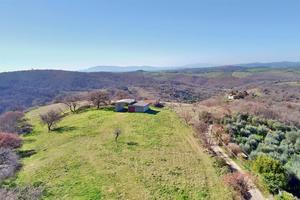 Semplicemente TERRA . o Molto Altro