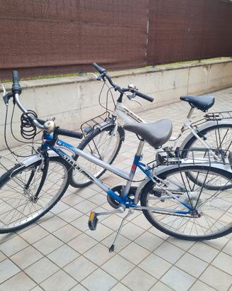 bicicletta da città sylver star
