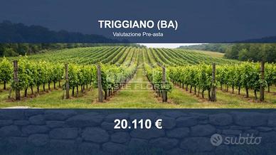 Immobile in asta di 13710 m² a Triggiano