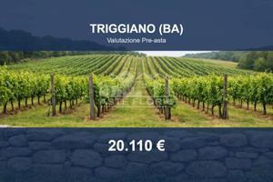 Immobile in asta di 13710 m² a Triggiano