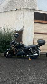 Truimpmh Bonneville (900cc)