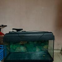 acquario