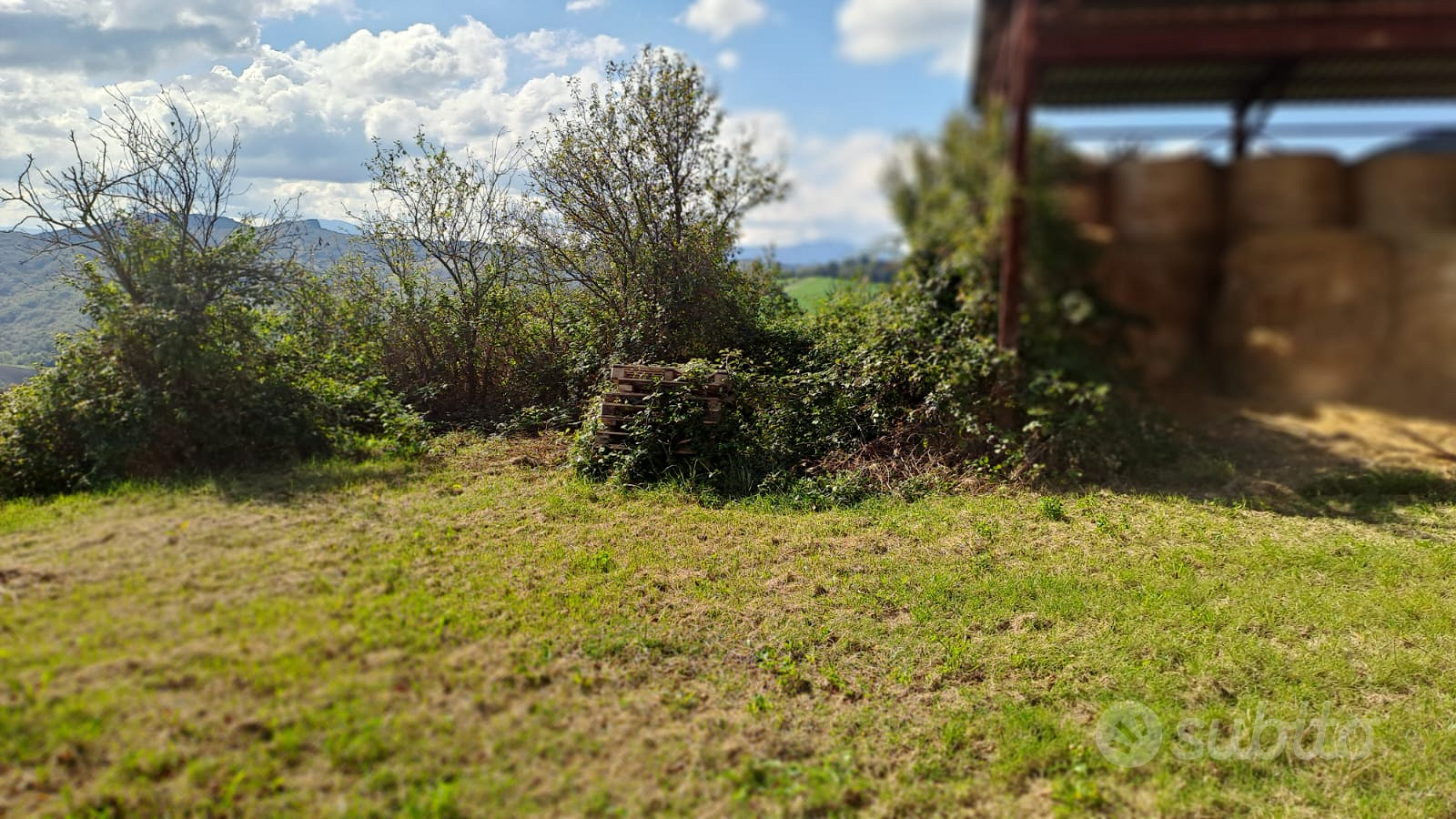 Rustico con terreno - Vista 4