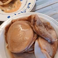 Kombucha scoby 