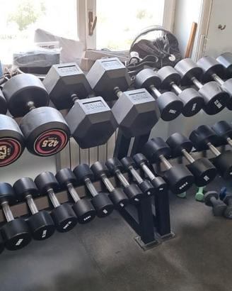 Set Manubri 5-50 kg