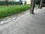 Immagine 15