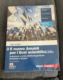 Il nuovo Amaldi per i licei scientifici.blu 3