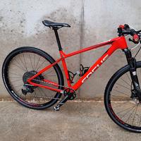 Mountain Bike Focus Raven