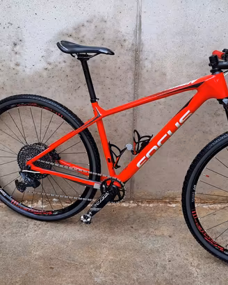 Mountain Bike Focus Raven