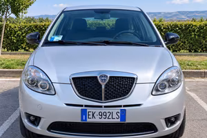 Lancia Y 1.2 69 CV Benzina euro 5-2012 Grandinata