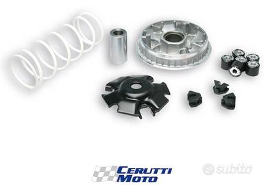 Variatore Malossi Multivar honda sh 125 / 150