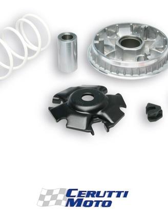 Variatore Malossi Multivar honda sh 125 / 150