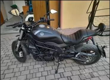 Benelli 502 C - 2024