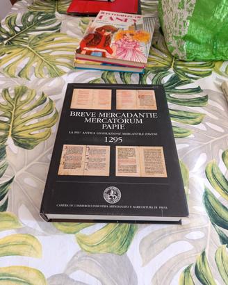 libro breve mercadantie mercatorum papie 