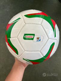 Pallone ufficiale Castrol mondiale 2010