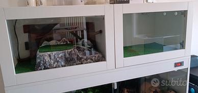 Teca doppio slot 120 x 40