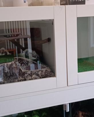 Teca doppio slot 120 x 40