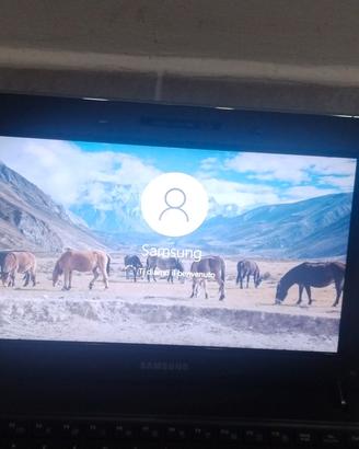 Pc portatile Samsung 